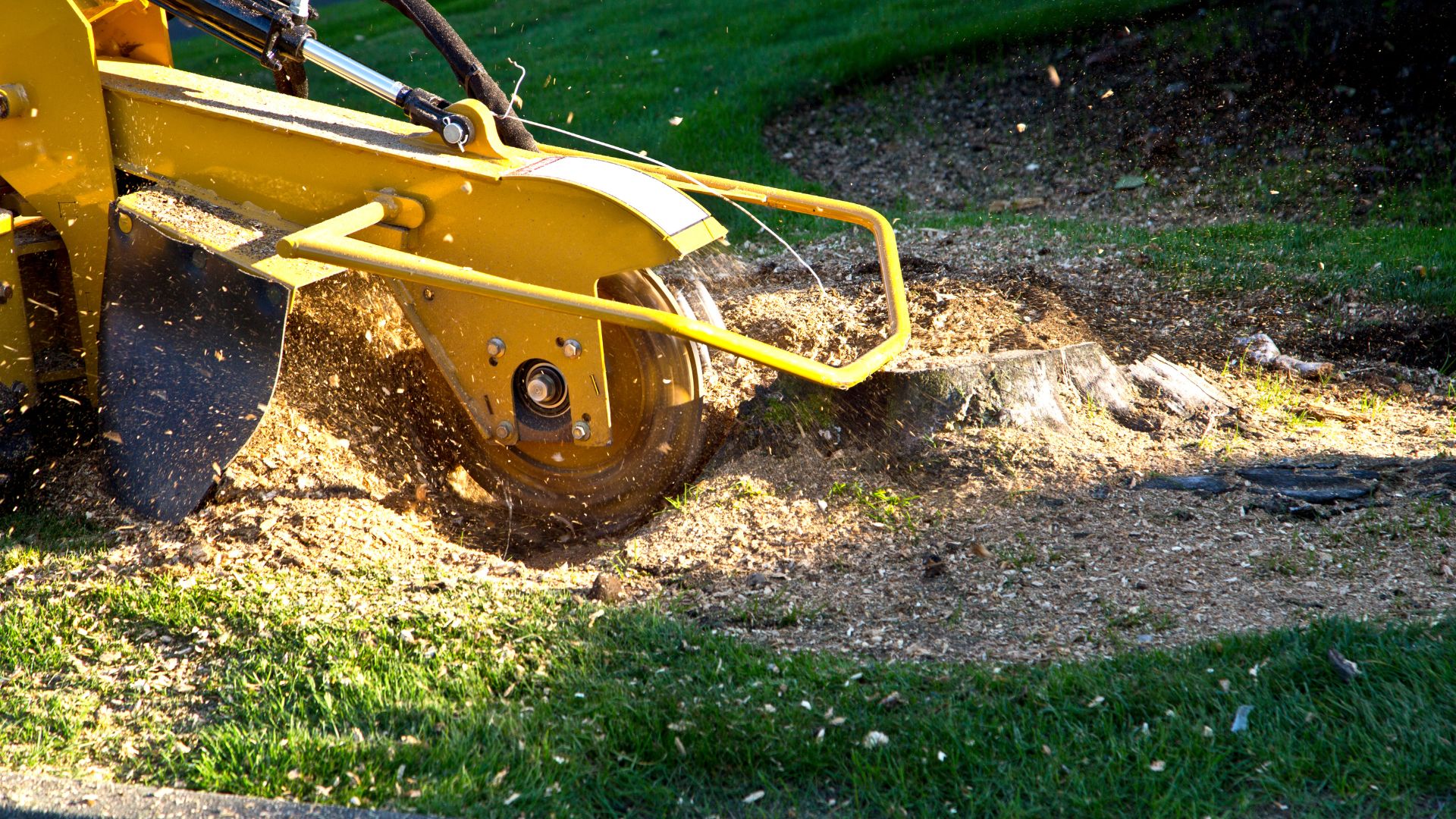 Operator running a stump grinder