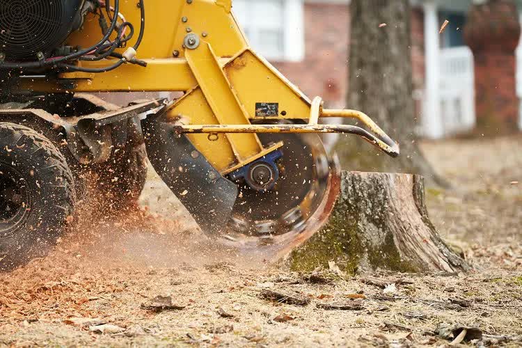 Operator grinding a stump on a Hill Country ranch